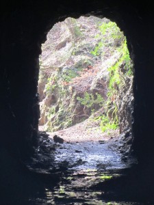 Day_1_Old_railway_tunnel_close_to_Aitzondo_waterfall